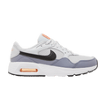 Nike Air Max SC 'Ashen Slate'
