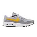 Nike Air Max SC 'Wolf Grey Yellow Ochre'
