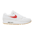Air Max 1 'Nike Coast Pack - The Bay'