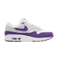 Nike Air Max 1 SC 'Field Purple'