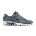 Nike Air Max 90 'Jewel - Cool Grey Deep Royal'