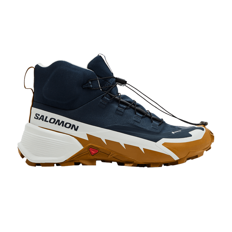 Salomon Cross Hike 2 Mid GORE-TEX 'Carbon Bronze Brown'