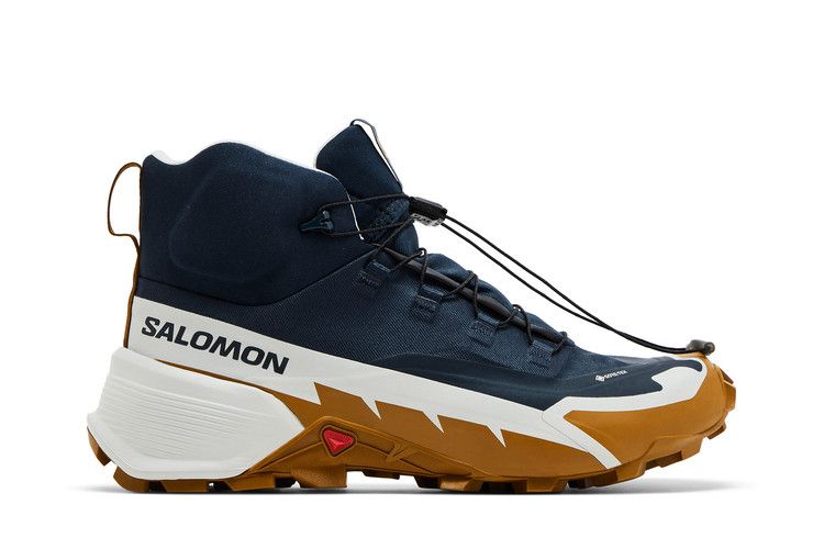 Salomon Cross Hike 2 Mid GORE-TEX 'Carbon Bronze Brown'