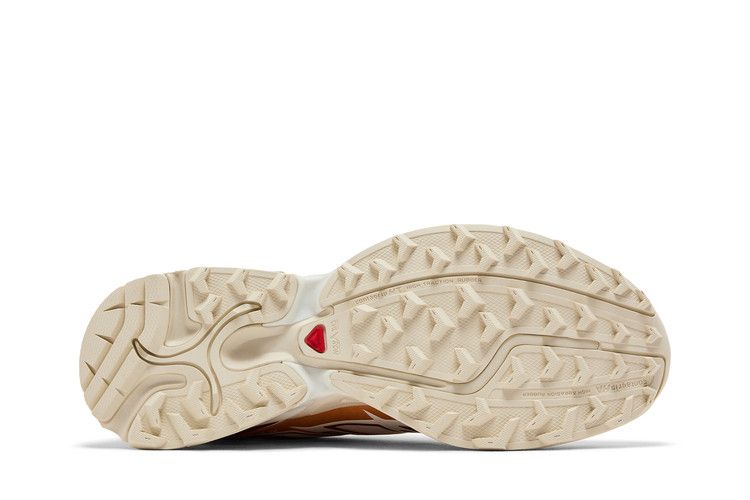 Salomon XT-Pathway 'Metallic - White Copper'