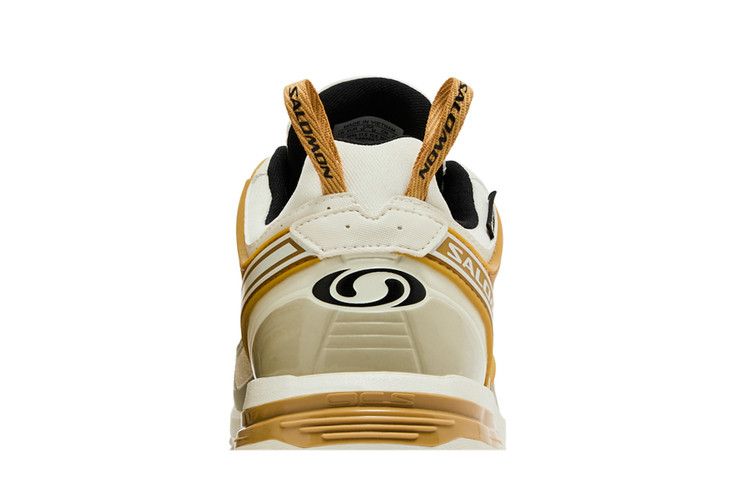 Salomon ACS Pro GORE-TEX 'Icicle Antelope'