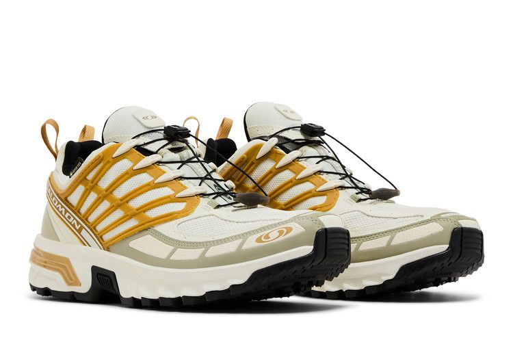 Salomon ACS Pro GORE-TEX 'Icicle Antelope'