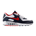 Nike Air Max 90 'USA 2010'