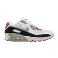 Nike Air Max 90 Leather GS 'Photon Dust Grey'