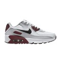 Nike Air Max 90 Leather GS 'Platinum Dark Team Red'