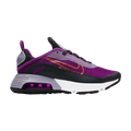Nike Air Max 2090 GS 'Violet Frost'