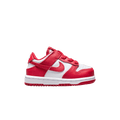Nike Dunk Low TD 'St. John's'