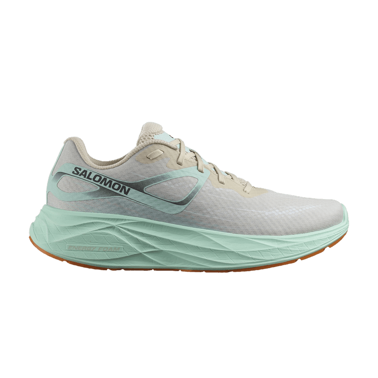 Salomon Aero Glide 'Bleached Sand Yucca'