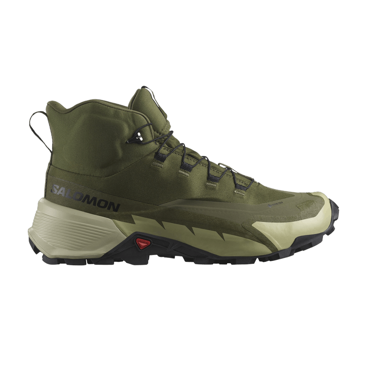 Salomon Cross Hike 2 Mid GORE-TEX 'Olive Night'