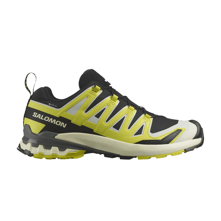 Salomon XA Pro 3D V9 GORE-TEX 'Black Sulfur Spring Pewter'