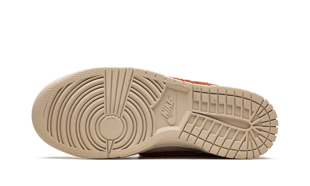 DUNK LO MNS WMNS "Terry Swoosh" DZ4706 200